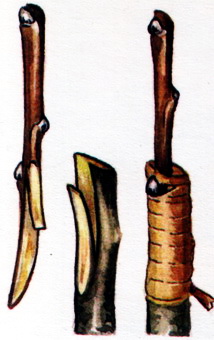 Покращена копуліровка